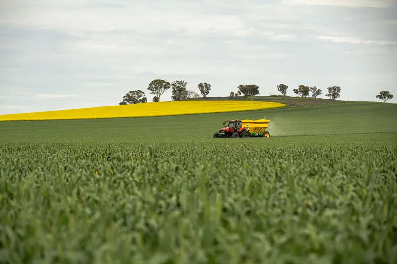 A tractor spreading fertiliser on a green field